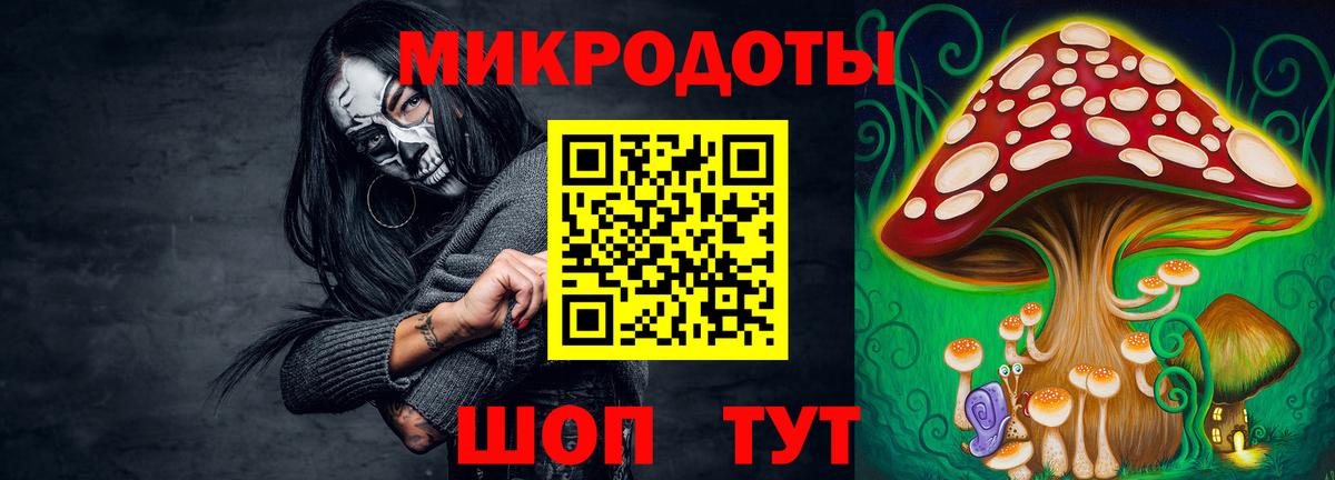 Галлюциногенные грибы мицелий  Вход с VPN  Междуреченск 