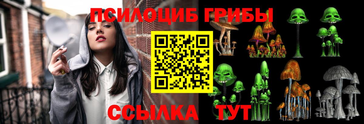 Галлюциногенные грибы Magic Shrooms Междуреченск